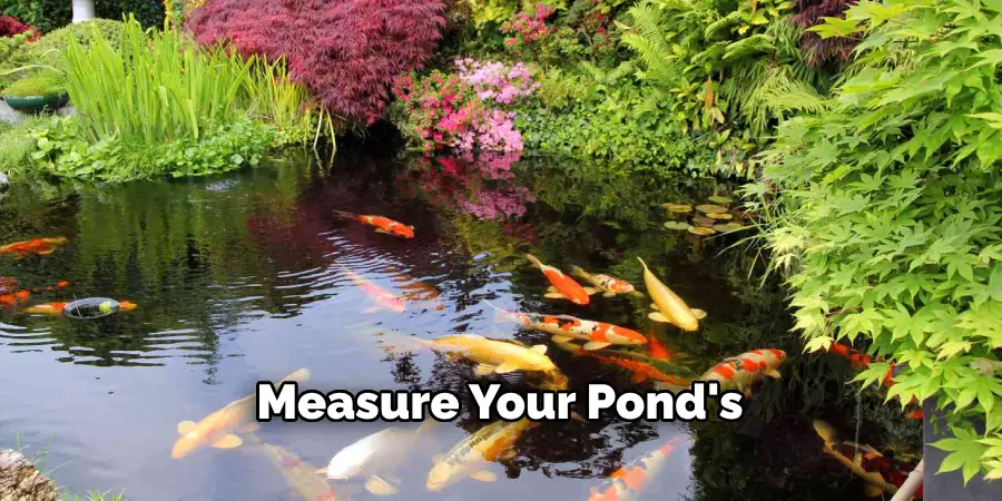 Measure Your Pond's