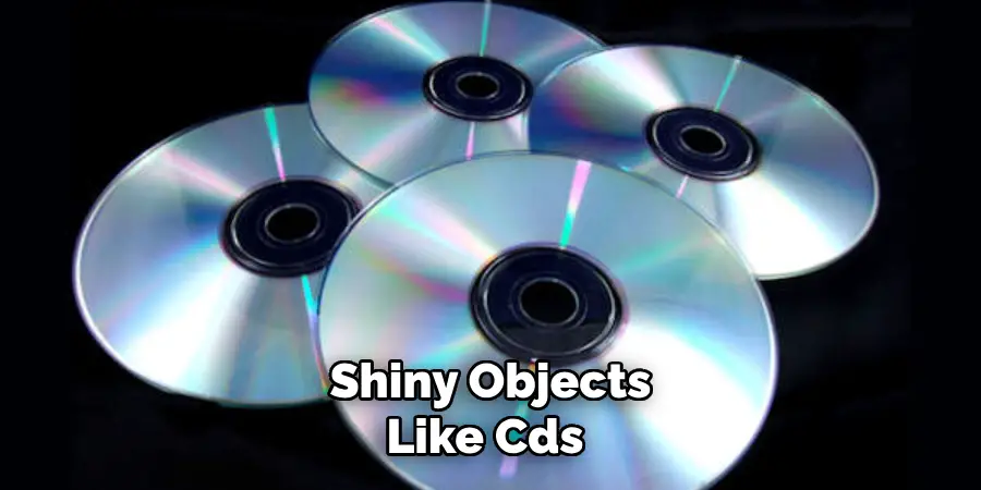 Shiny Objects Like Cds 