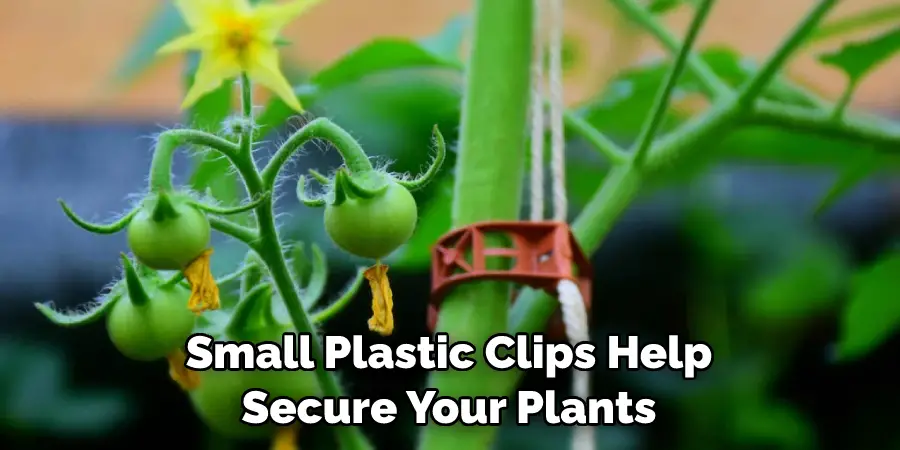 Small Plastic Clips Help Secure Your Plants
