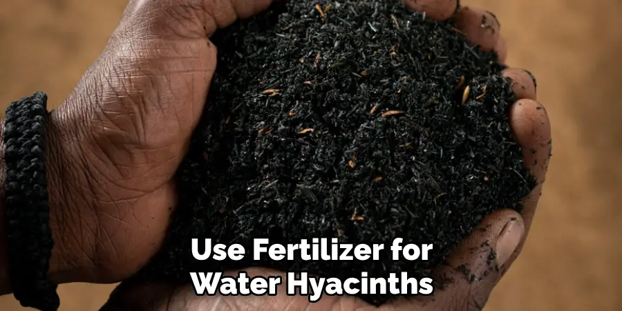 Use Fertilizer for Water Hyacinths
