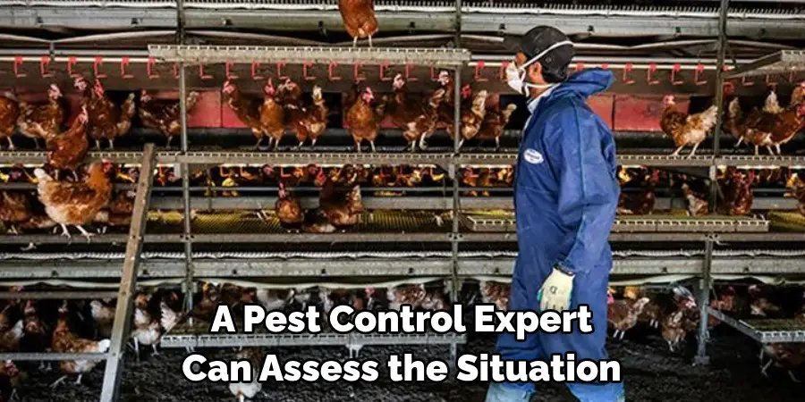 A Pest Control Expert Can Assess the Situation