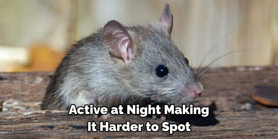 Active at Night Making It Harder to Spot