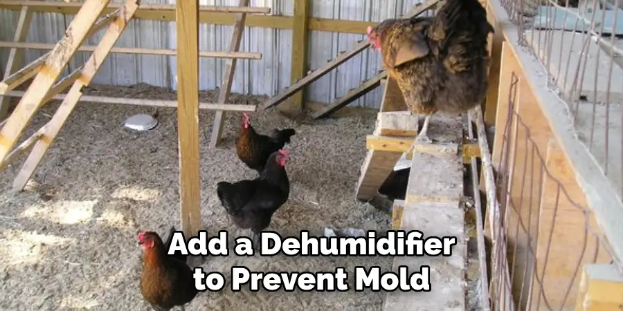Add a Dehumidifier to Prevent Mold