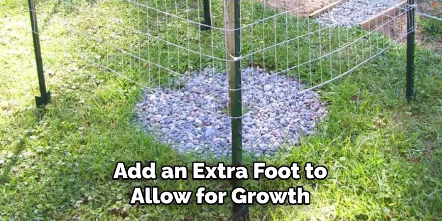 Add an Extra Foot to Allow for Growth