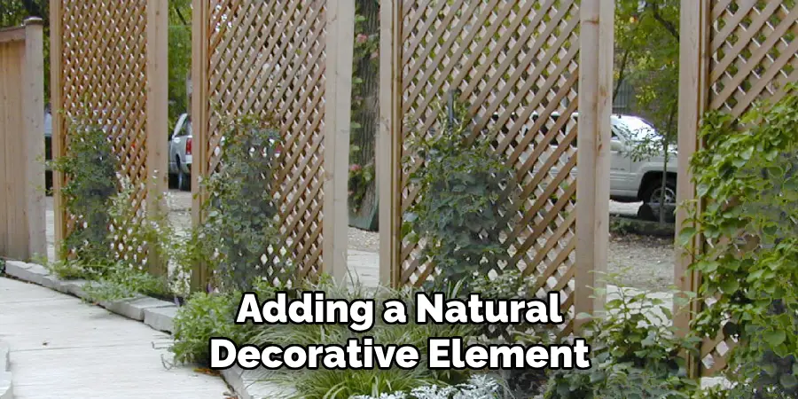 Adding a Natural Decorative Element