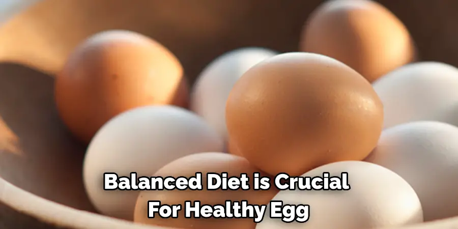 Balanced Diet is Crucial For Healthy Egg