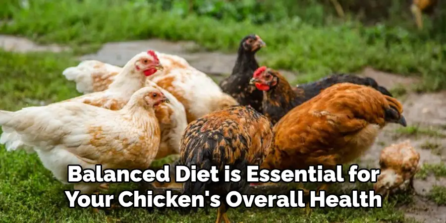 Balanced Diet is Essential for Your Chicken's Overall Health