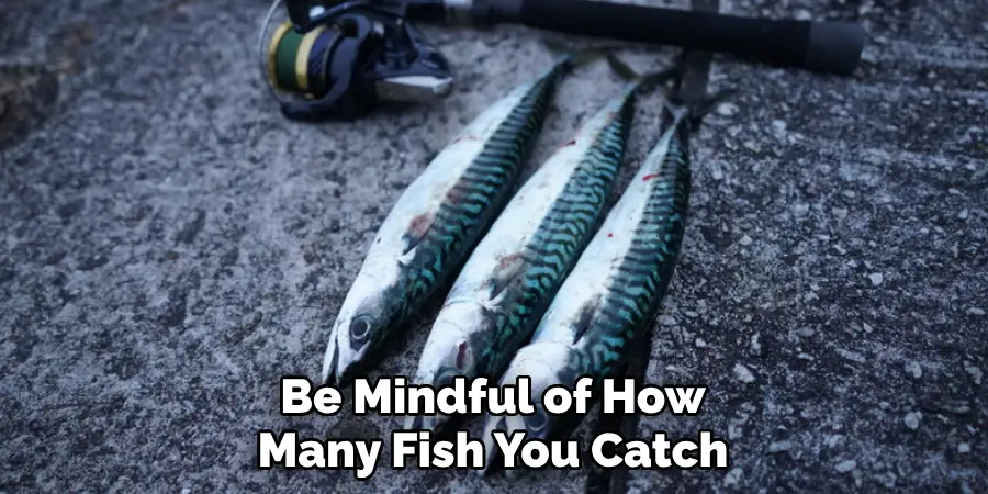 Be Mindful of How Many Fish You Catch