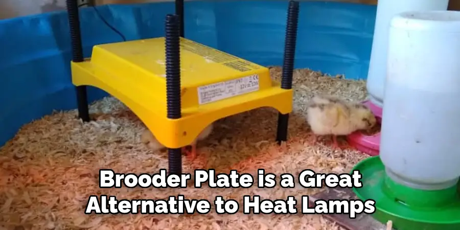 Brooder Plate is a Great Alternative to Heat Lamps