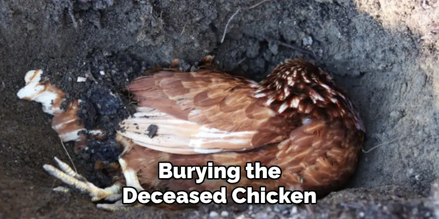 Burying the Deceased Chicken