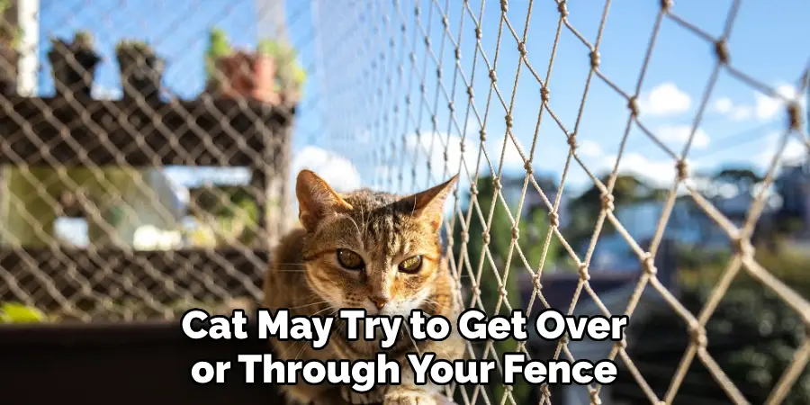 Cat May Try to Get Over or Through Your Fence