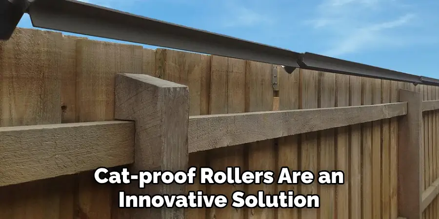 Cat-proof Rollers Are an Innovative Solution