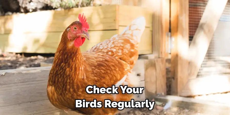 Check Your Birds Regularly