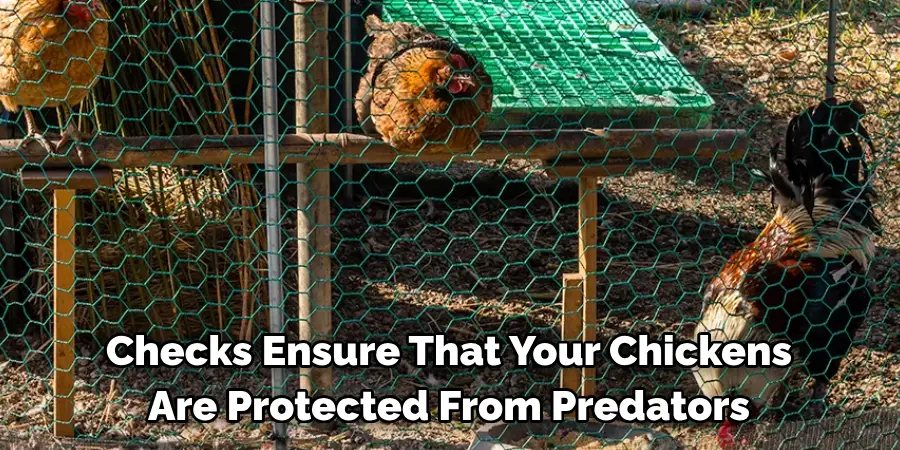 Checks Ensure That Your Chickens Are Protected From Predators