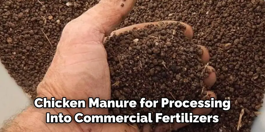 Chicken Manure for Processing Into Commercial Fertilizers