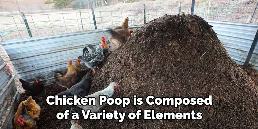 Chicken Poop is Composed of a Variety of Elements