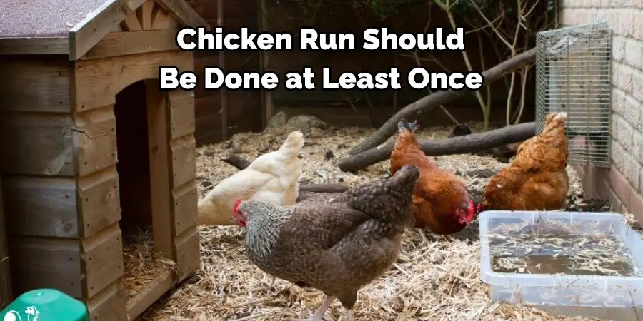 Chicken Run Should Be Done at Least Once