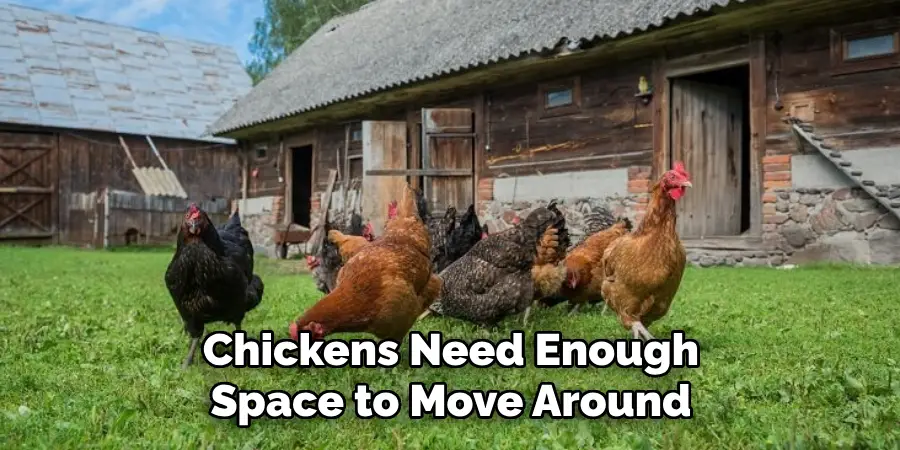 Chickens Need Enough Space to Move Around