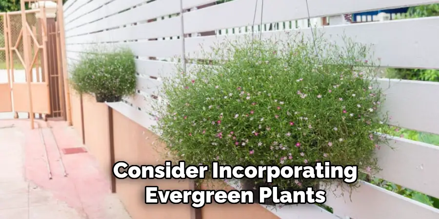 Consider Incorporating Evergreen Plants