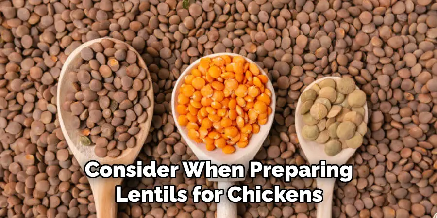 Consider When Preparing Lentils for Chickens