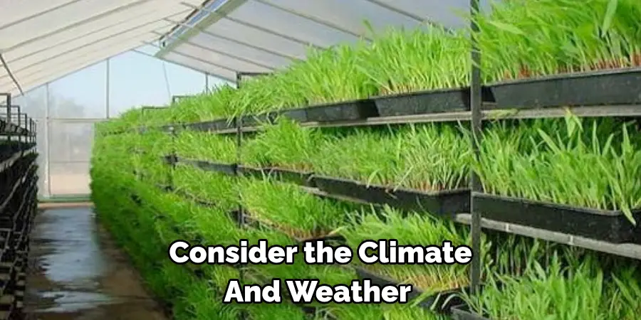 Consider the Climate and Weather