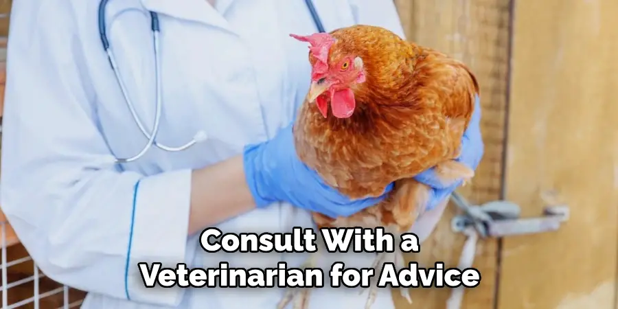 Consult With a Veterinarian for Advice