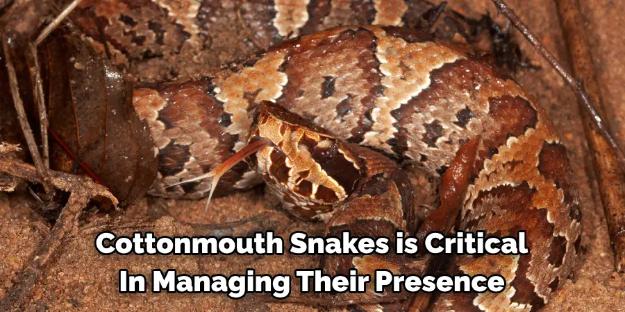Cottonmouth Snakes is Critical In Managing Their Presence