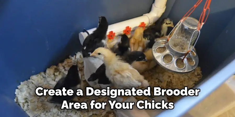 Create a Designated Brooder Area for Your Chicks