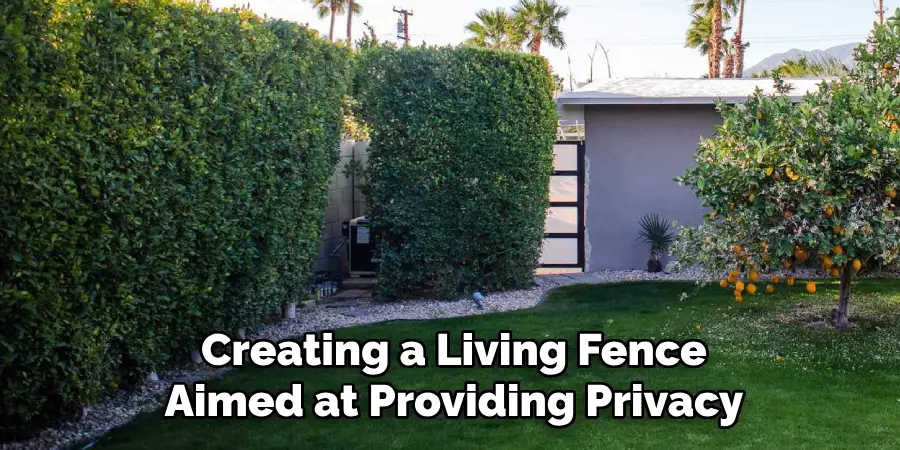 Creating a Living Fence Aimed at Providing Privacy