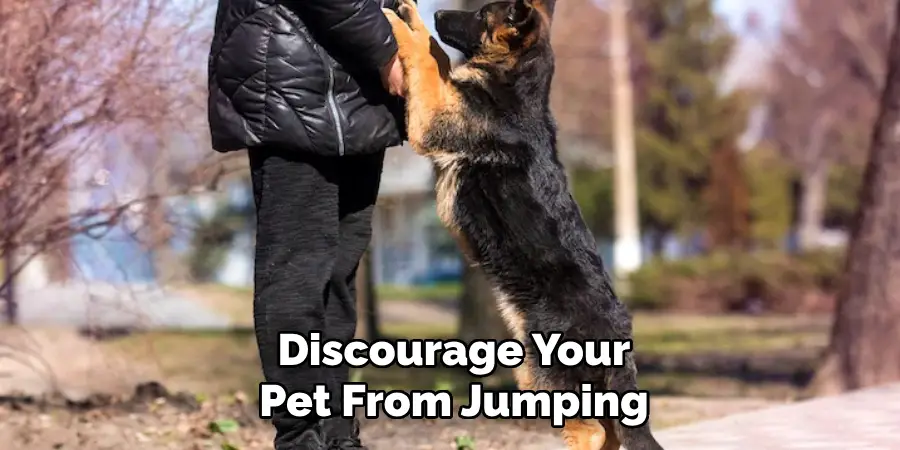 Discourage Your Pet From Jumping