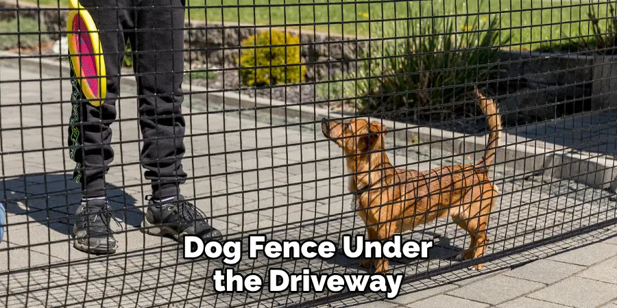 Dog Fence Under the Driveway