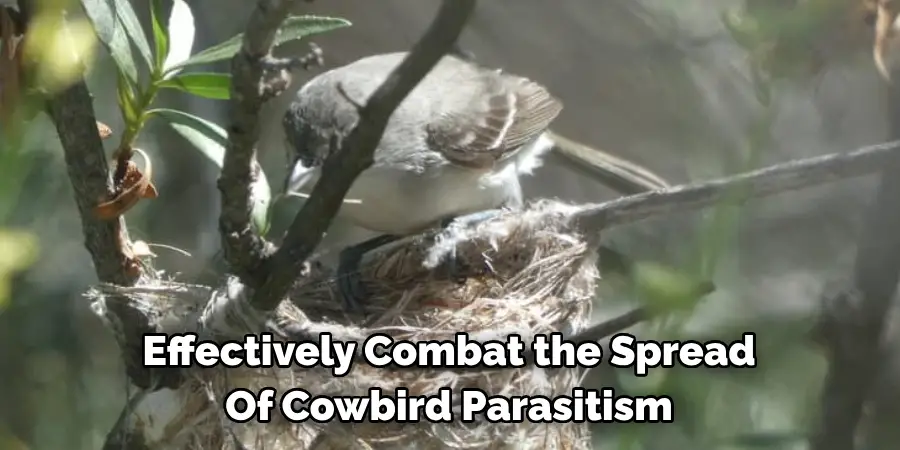 Effectively Combat the Spread Of Cowbird Parasitism