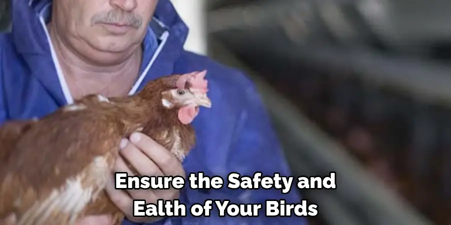 Ensure the Safety and Ealth of Your Birds