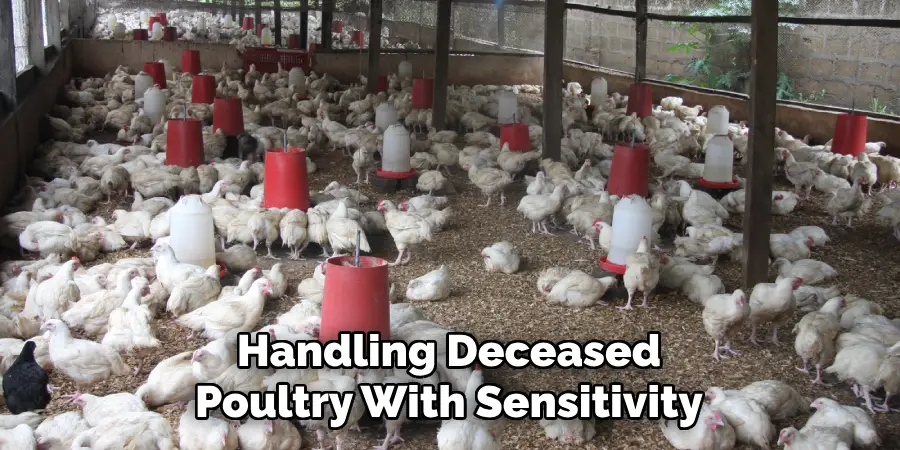 Handling Deceased Poultry With Sensitivity