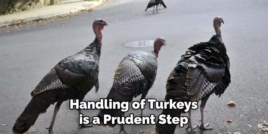 Handling of Turkeys is a Prudent Step