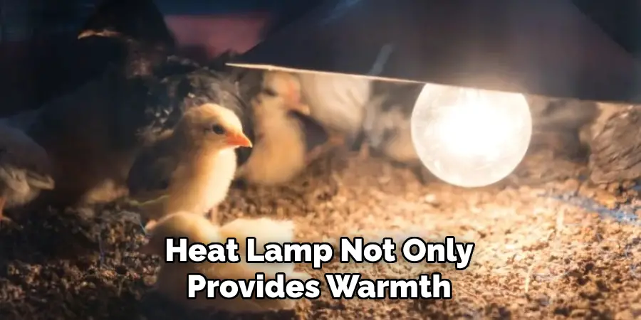 Heat Lamp Not Only Provides Warmth