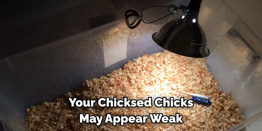YourChicks May Appear Weak