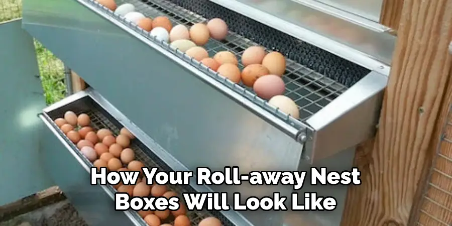 How Your Roll-away Nest Boxes Will Look Like