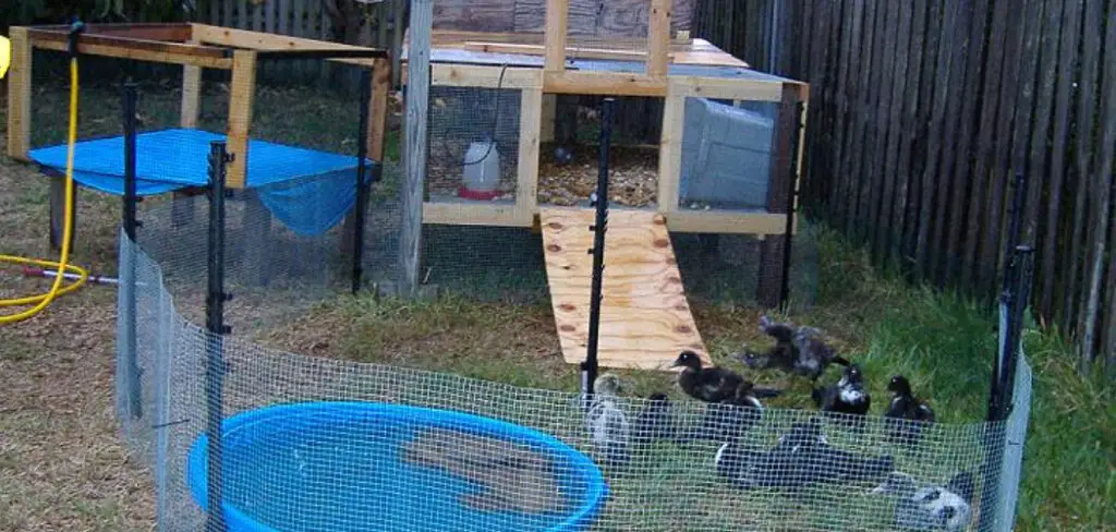 How to Build Duck Pen