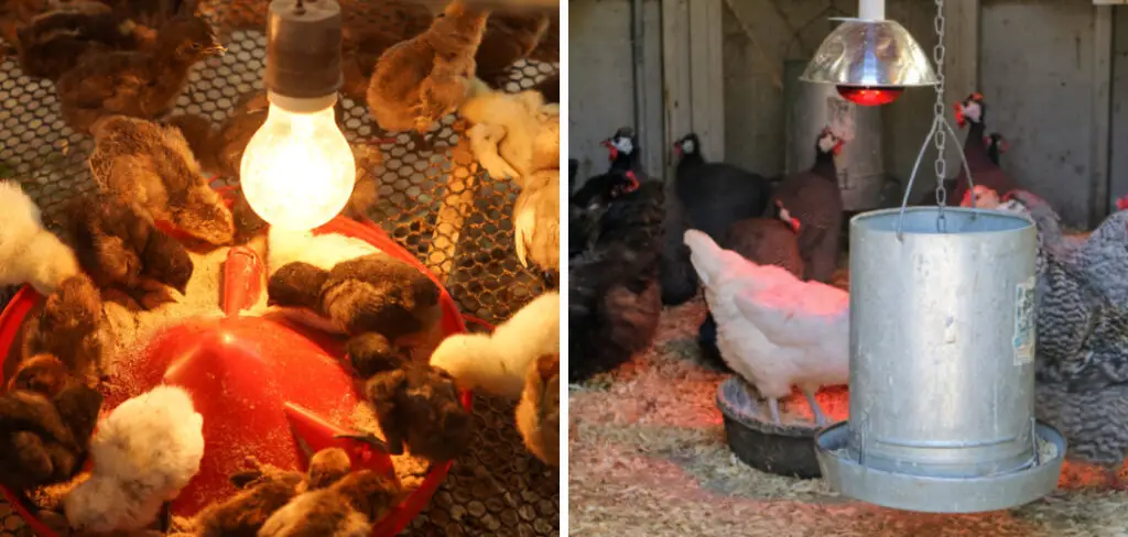 How to Heat a Chicken Coop