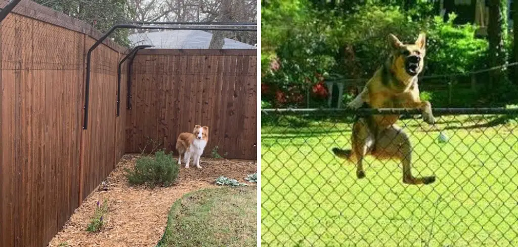 How to Keep Dogs from Climbing Fence
