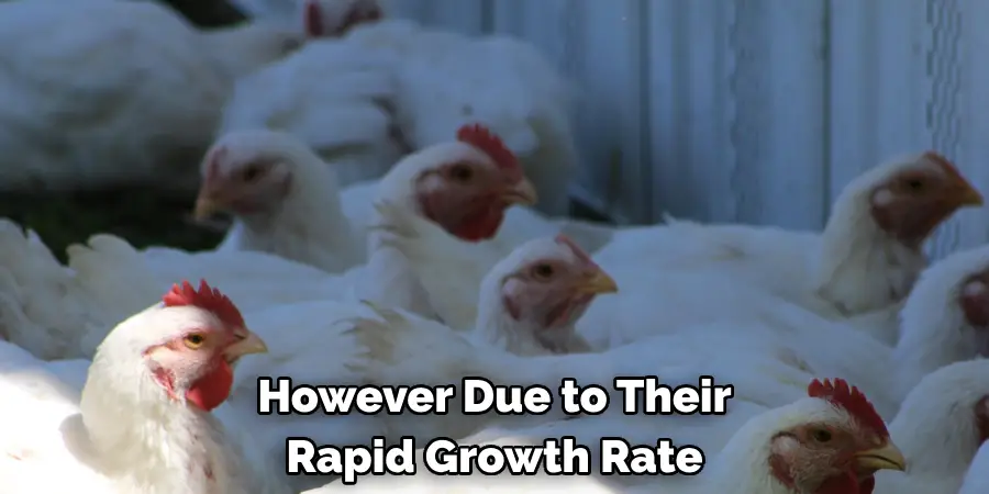 However Due to Their Rapid Growth Rate