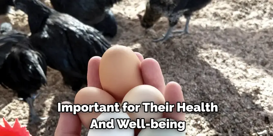 Important for Their Health And Well-being