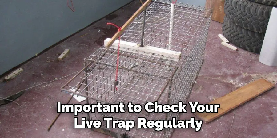 Important to Check Your Live Trap Regularly