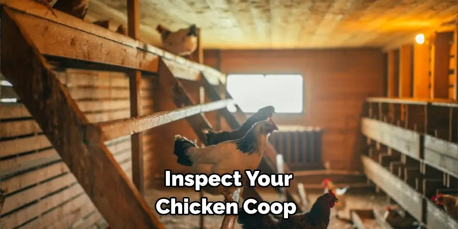Inspect Your Chicken Coop