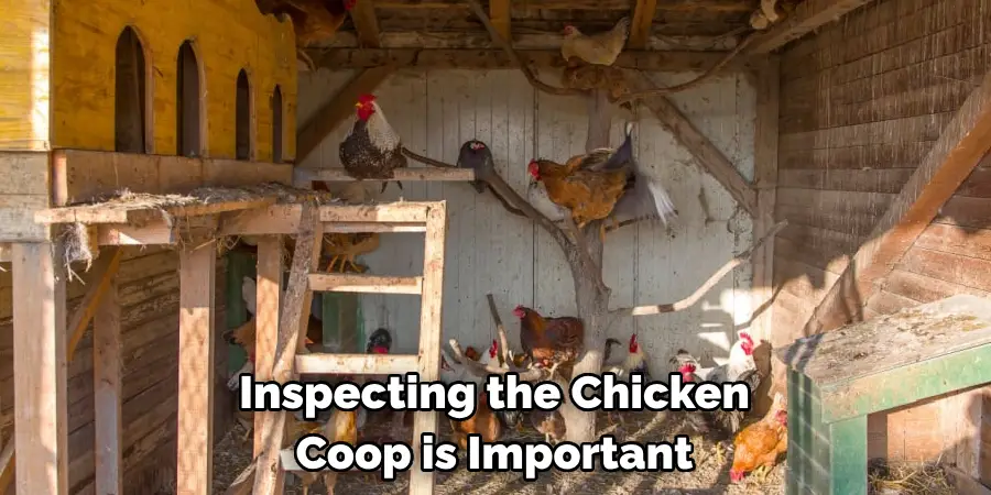 Inspecting the Chicken Coop is Important