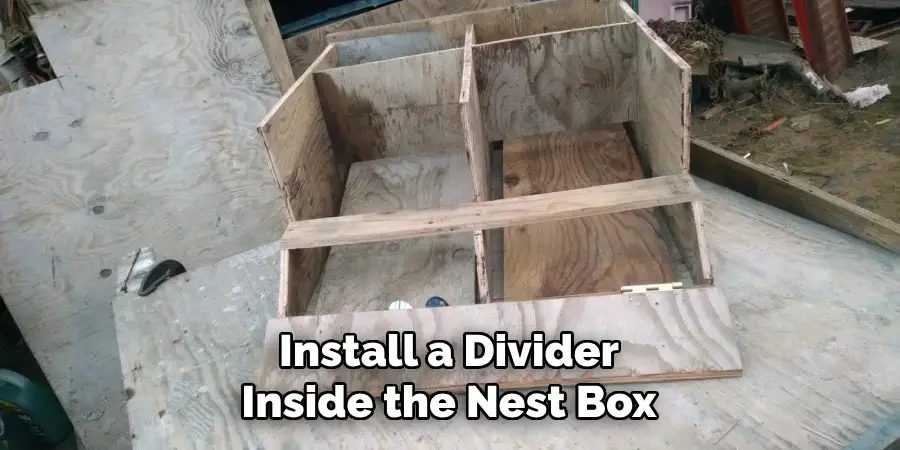 Install a Divider Inside the Nest Box