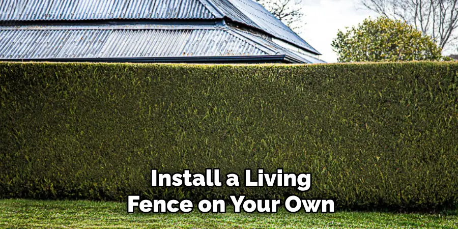 Install a Living Fence on Your Own