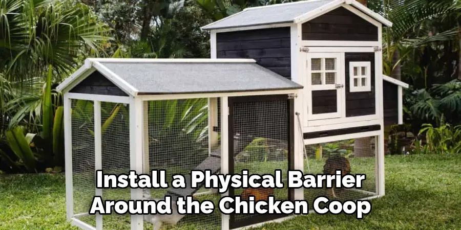 Install a Physical Barrier Around the Chicken Coop
