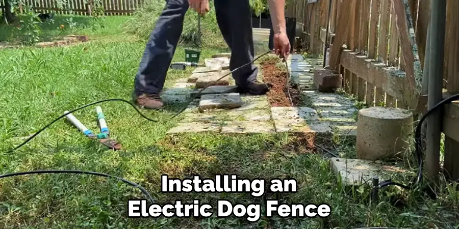 Installing an Electric Dog Fence